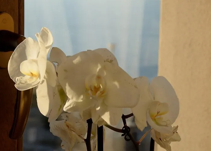 Torre Della Loggia - Dimora Storica - 3*