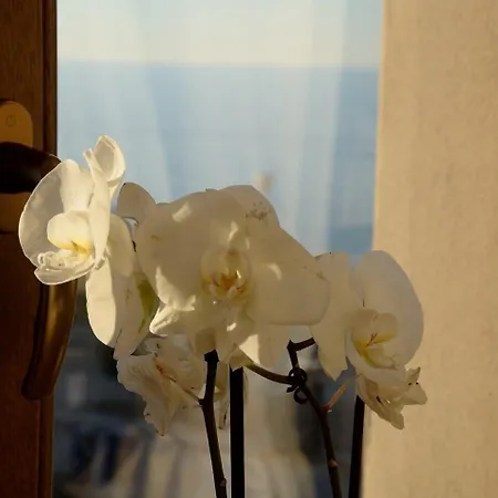 Torre Della Loggia - Dimora Storica - 4*